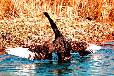 Xbox新主机超PS5成北美6月销售额最高主机 NS销量最高